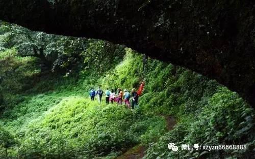 张艺谋春节电影《第二十条》发布全新预告及海报