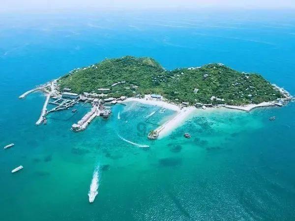 宁波菜市场年味渐浓