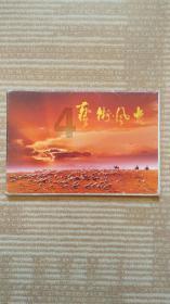 央地合作携手打造城市有机中心